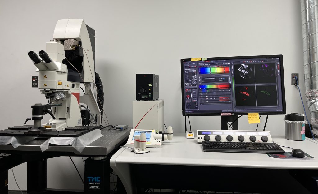 Leica TCS SP8 Confocal Microscope 1