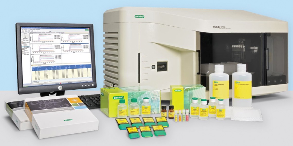 SPR-Based Fragment Screening Service 1