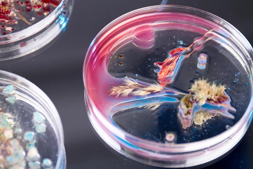 Microbiological and molecular biological analysis 1