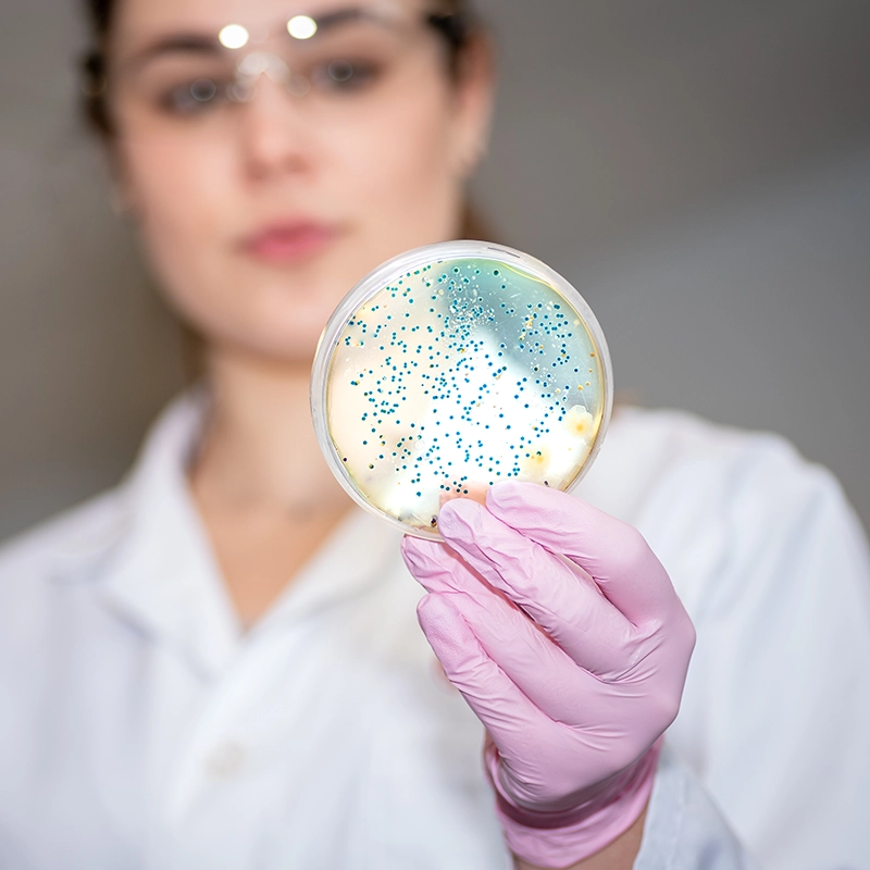 Microbiological and molecular biological analysis 2